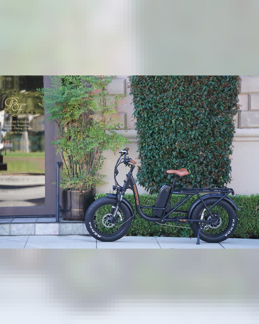 Fat Tyre Electric Bike 750W